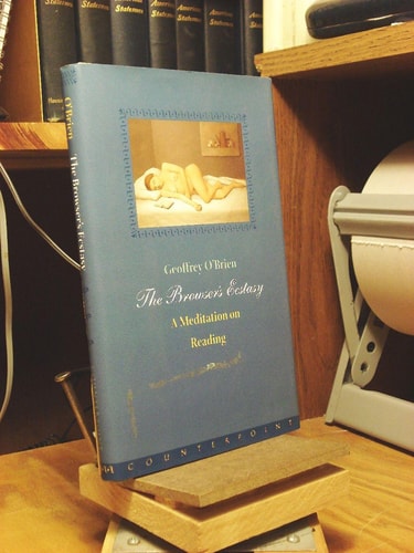 The Browser's Ecstasy: A Meditation on Reading