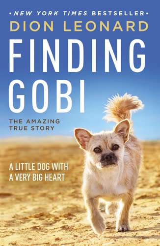 Finding Gobi A Little Dog with a Very Big Heart
