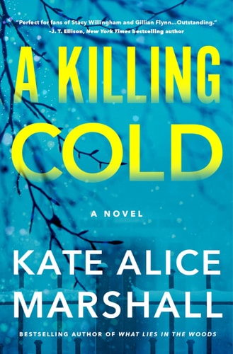 A Killing Cold A Novel