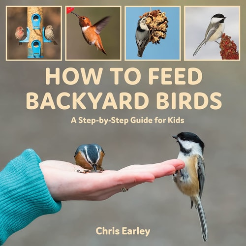 How to Feed Backyard Birds A Step-By-Step Guide for Kids