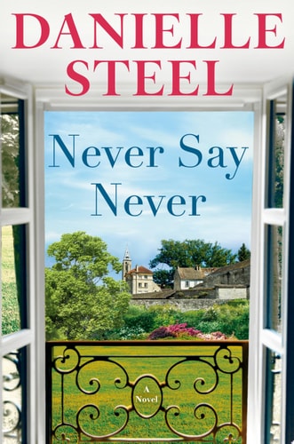Never Say Never A Novel