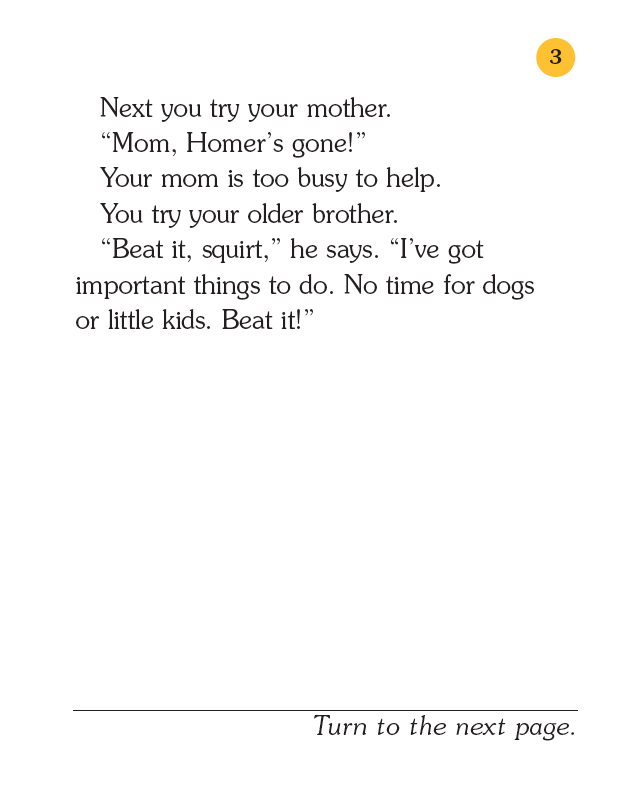 Lost Dog!, Children's Book