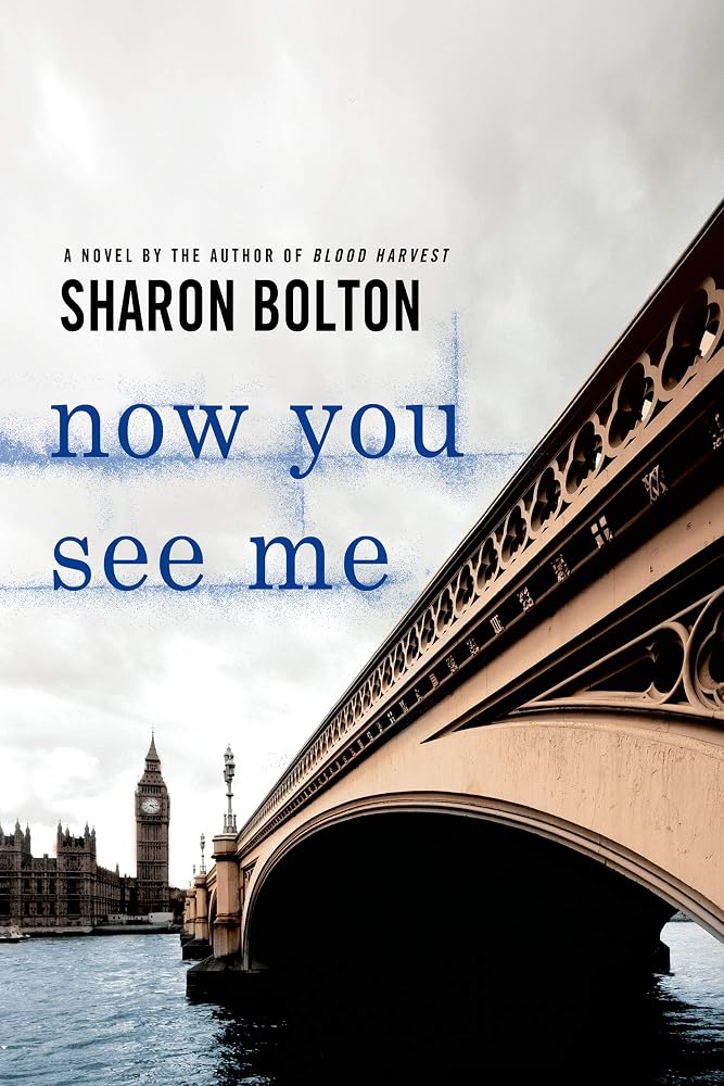 Now You See Me: A Lacey Flint Novel cover image