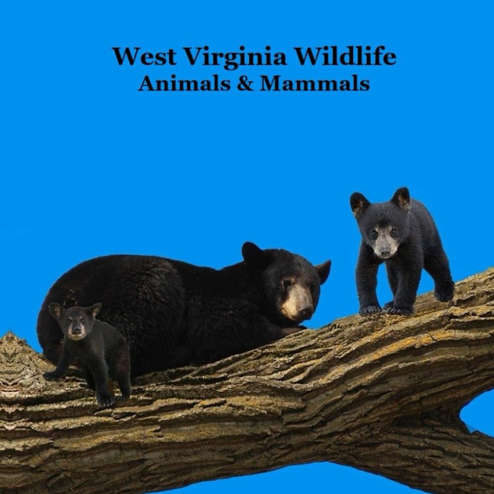 West Virginia Animals and Mammals Kids Wildlife Book: Great Wildlife Book about Animals and Mammals in West Virginia cover image