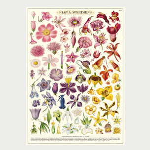 Cavallini Papers & Co. Dogs 1000 Piece Puzzle