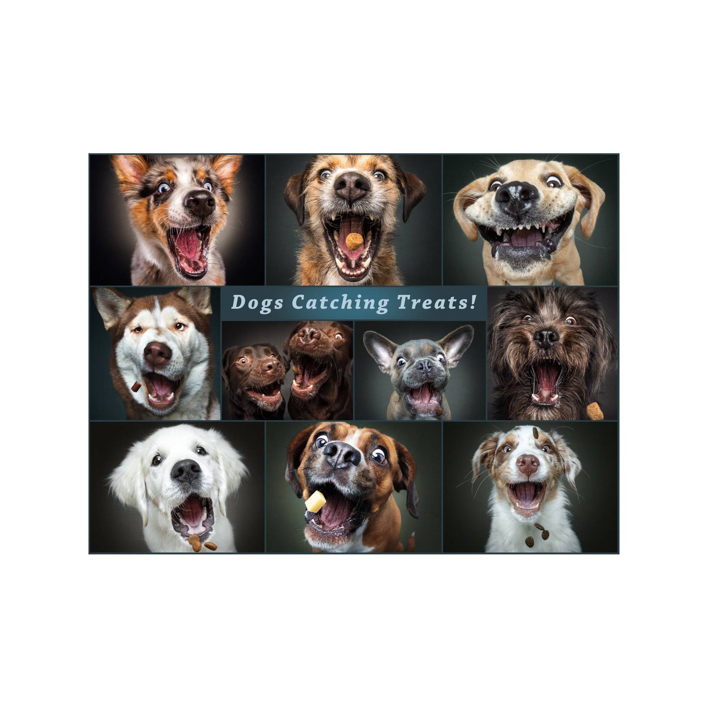Buffalo Games 750-Piece Jigsaw Puzzle Dog Days 24x18 Inches