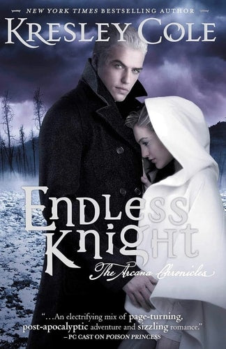 Endless Knight