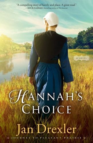 Hannah's Choice A Novel
