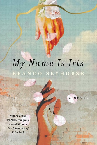 My Name Is Iris A Novel