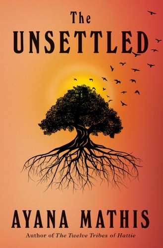 The Unsettled A novel