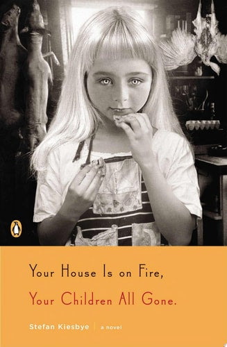 Your House Is on Fire, Your Children All Gone A Novel