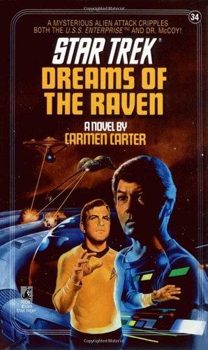 Dreams of the Raven (Star Trek, No 34)