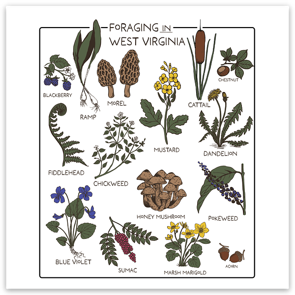 Foraging - Sticker