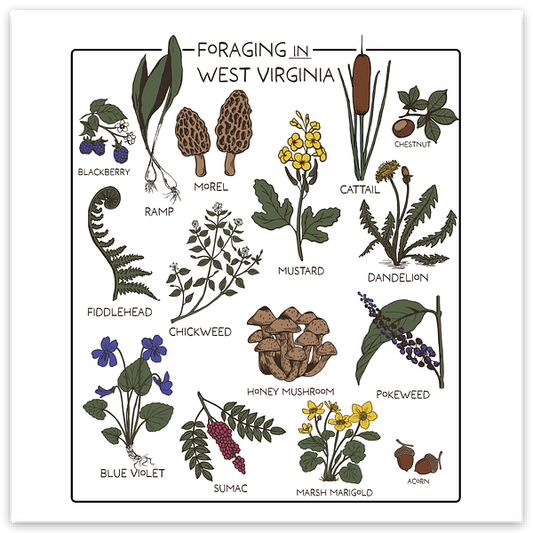 Foraging - Sticker