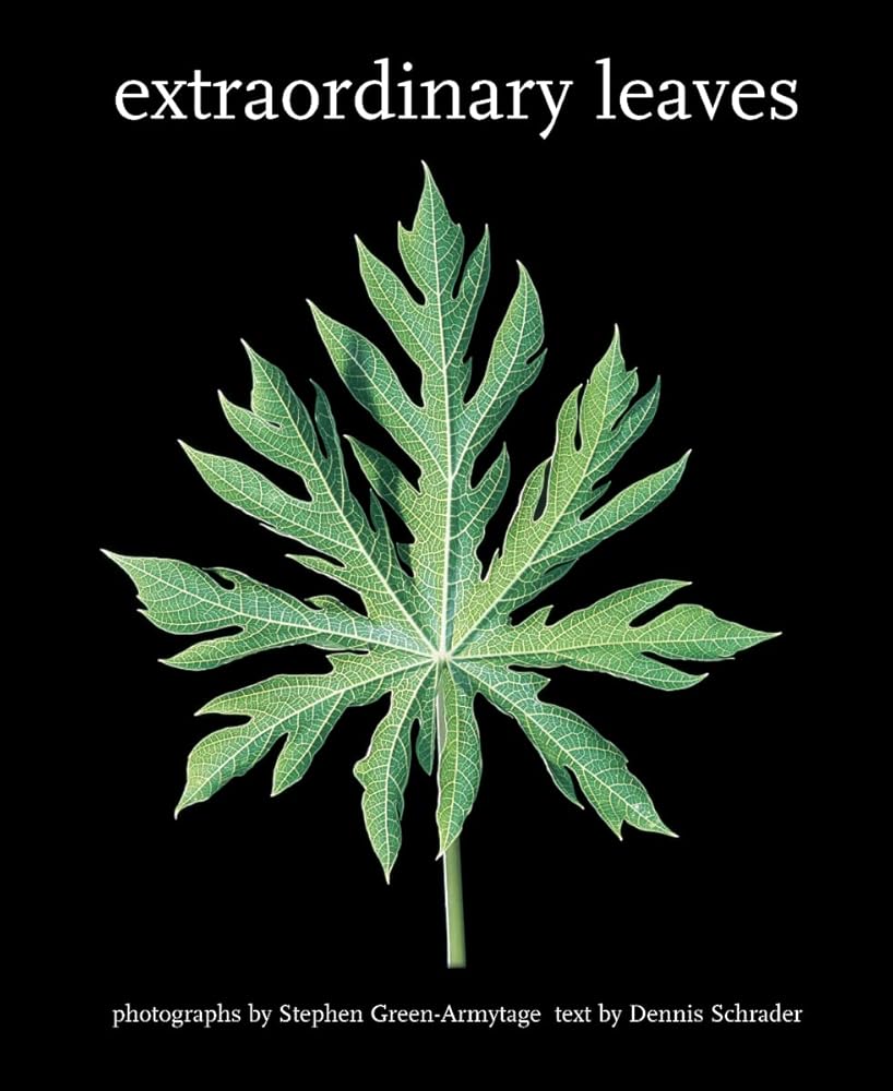 Extraordinary Leaves cover image