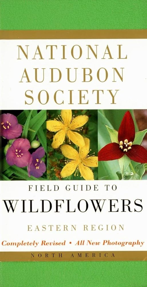 National Audubon Society Field Guide to North American Wildflowers--E: Eastern Region - Revised Edition cover image