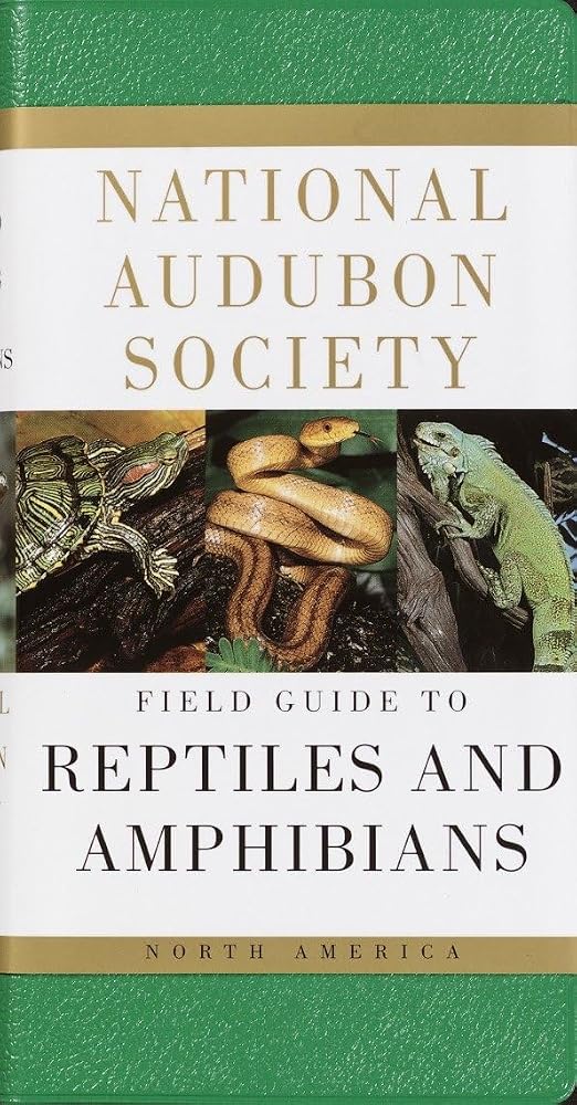 National Audubon Society Field Guide to Reptiles and Amphibians: North America cover image