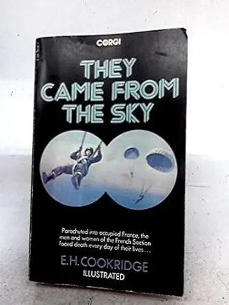 They came from the sky cover image