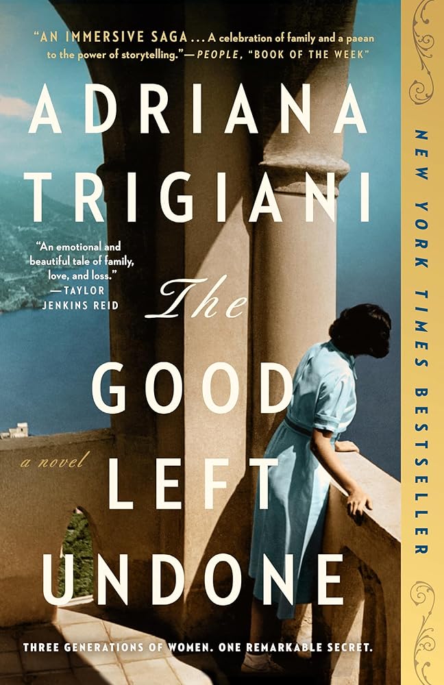 The Good Left Undone: A Novel cover image