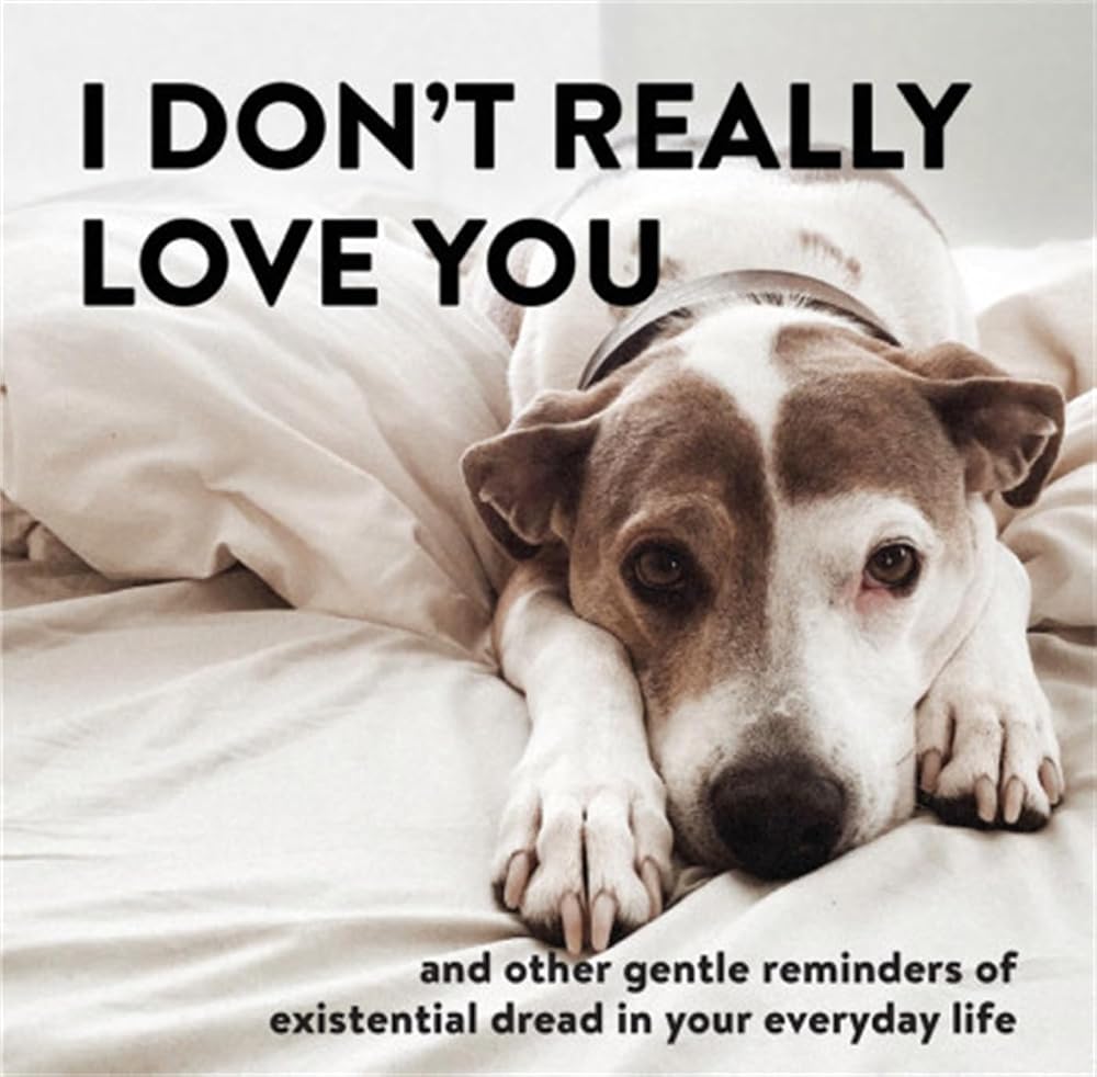 I Don't Really Love You: And Other Gentle Reminders of Existential Dread in Your Everyday Life cover image