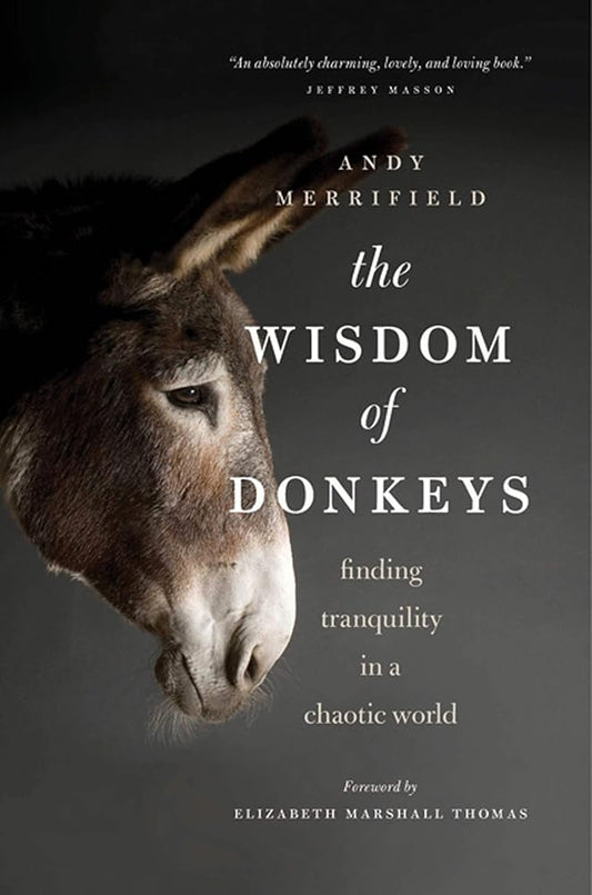 The Wisdom of Donkeys: Finding Tranquility in a Chaotic World cover image
