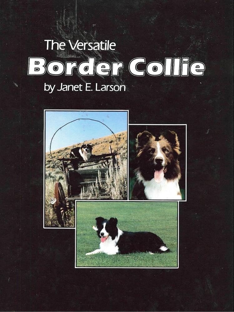 The Versatile Border Collie cover image