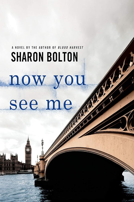 Now You See Me: A Lacey Flint Novel cover image