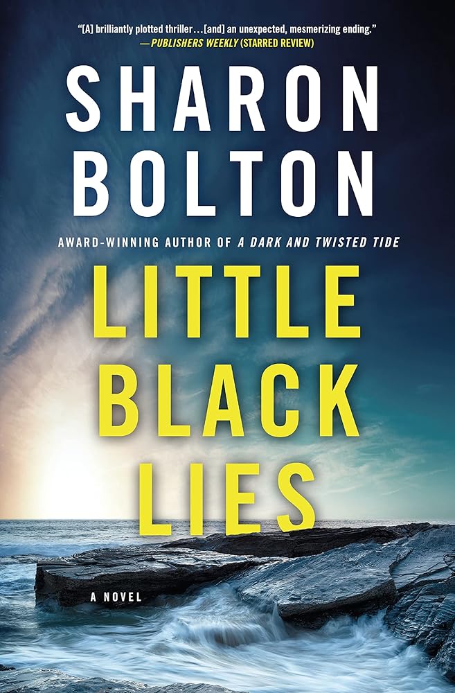 Little Black Lies: A Novel cover image