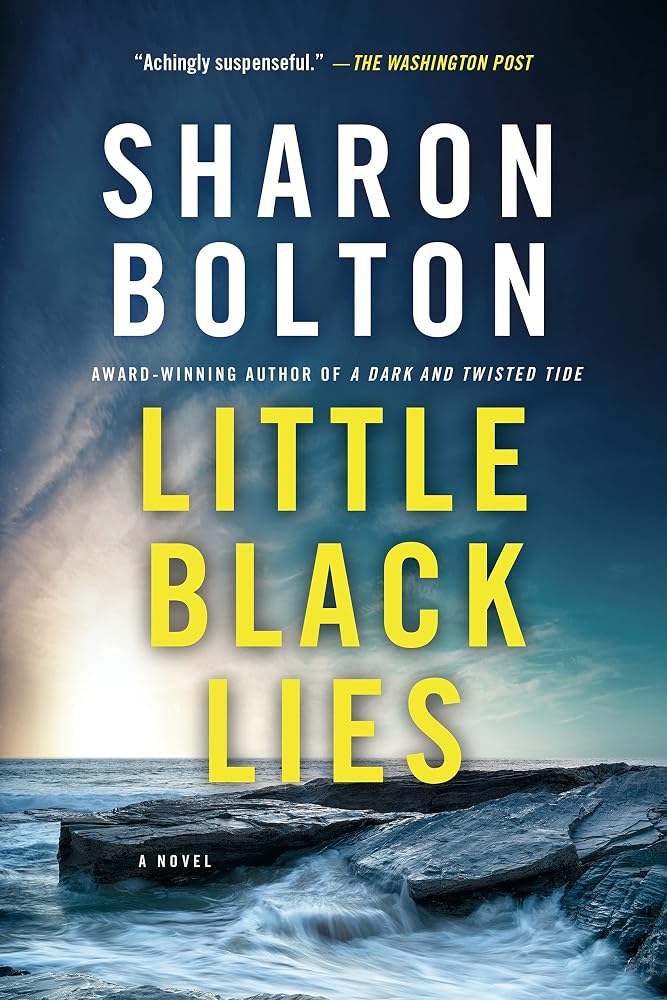 Little Black Lies: A Novel cover image