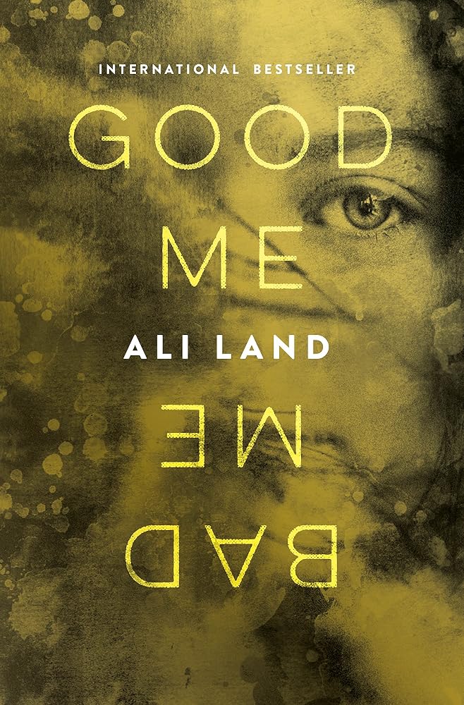 Good Me Bad Me: A Novel cover image