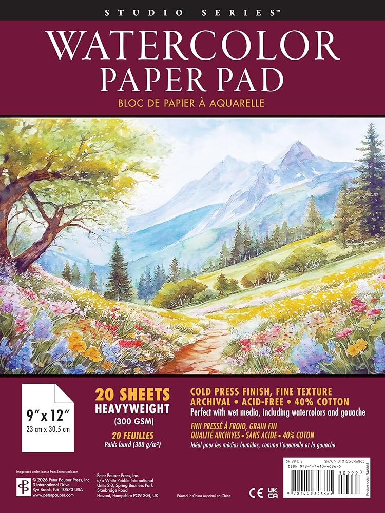 Studio Series Watercolor Paper Pad (9" x 12", 300 GSM Heavyweight Paper, 20 Sheets) cover image