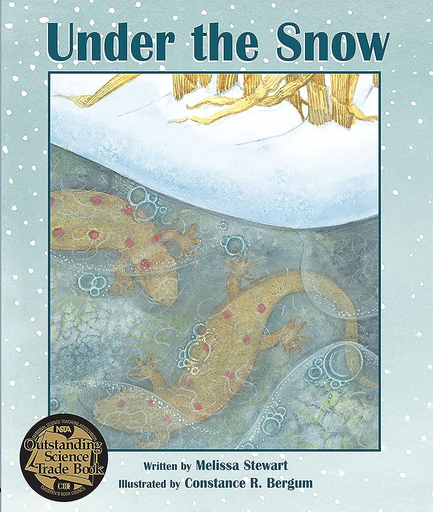 Under the Snow cover image
