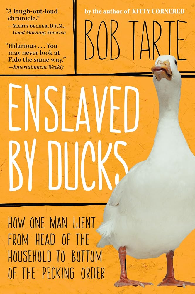 Enslaved by Ducks cover image