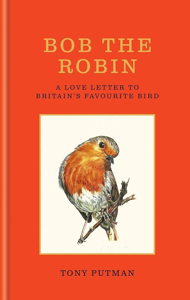 Bob the Robin: A love letter to Britain’s favourite bird cover image