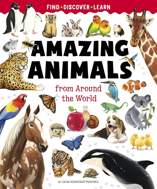 Big Book of Amazing Animals (Find, Discover, Learn) cover image