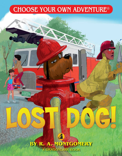 Lost Dog!, Children's Book
