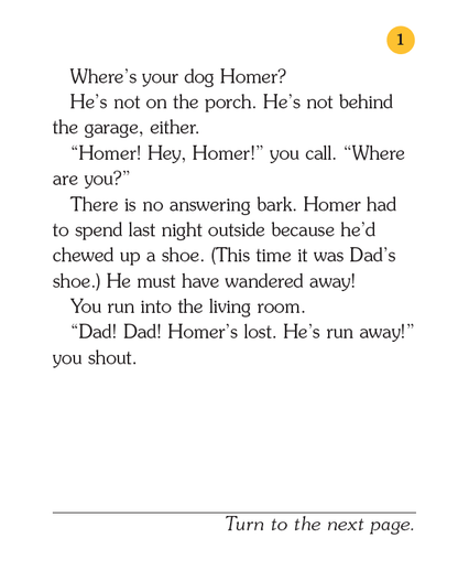 Lost Dog!, Children's Book